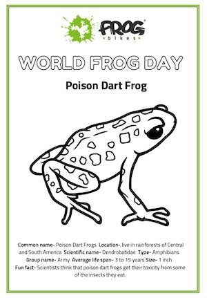 World Frog Day design pack